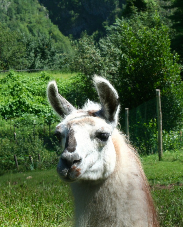 A Passo di Lama